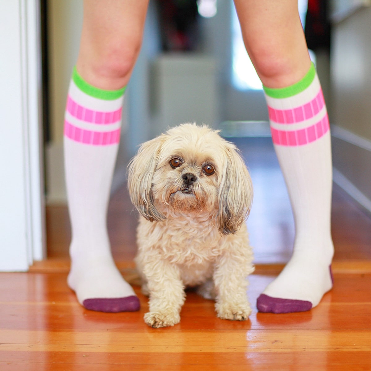 Het verschil tussen compressiekousen en steunkousen